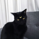 causa-y-efect0 avatar