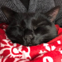 causas-memora avatar