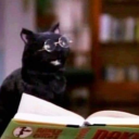 causeimjustagirrl avatar