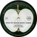 causesorrowisjustalltherage avatar