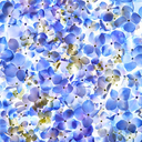 cavanaughcreative avatar