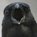 cawfulopinions avatar