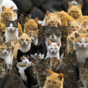 cayverinbanaaa avatar