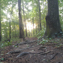 cbathory86-blog avatar