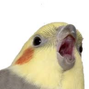 ccatpuns-blog avatar