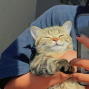 cccharlieeles avatar