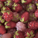 cccute-raspberry avatar
