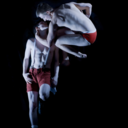 ccf-elegy-blog avatar