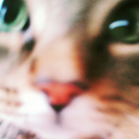 cchasethelightt avatar