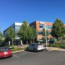 cchasingh0sts avatar