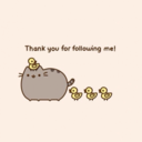 cdajniyel-blog avatar