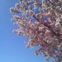 cdr3942-blog-blog avatar