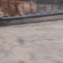 cdreamworld99 avatar