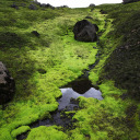 ceaseless-new-american avatar