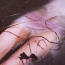 ceaseroundedfury avatar