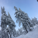 ceceggstudies avatar