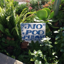 ceci-nest-pas-une-cunt avatar