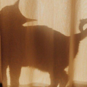 ceciliasthings avatar