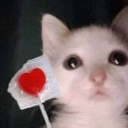 cecilio-aquino avatar