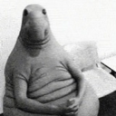 cedar-likethetree avatar