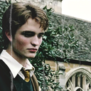 cedricdiggorry avatar