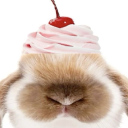 ceebuns avatar