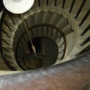 ceescedasticity avatar