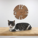 cehennemalevi avatar