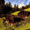 celeblookforless avatar