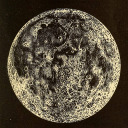 celebratorydevil avatar