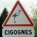 celeste-cigogne avatar