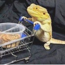 celestebutler18 avatar