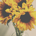 celesteirizarry-blog avatar