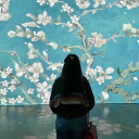 celestial-bodies avatar