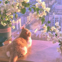 celestial-nyx avatar