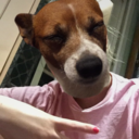 celestialaustralian avatar