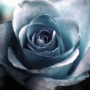 celestialaxia avatar