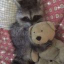 celestialcryptids avatar