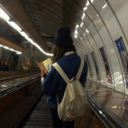 celestialfields avatar