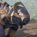 celestialguar avatar