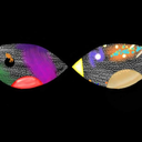 celestialinfinite678 avatar