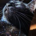 celestialpain avatar