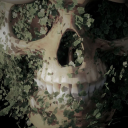 celestialsmiles avatar