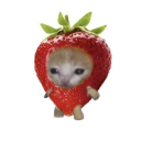 celestialstrawberri avatar