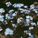 celestialtayisa avatar