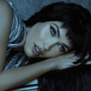 celinecerberusarchive avatar