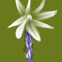 cellardoorart avatar