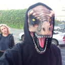 cellophane-stockings avatar