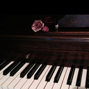 celloyellowphane avatar