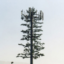 celltowertree avatar